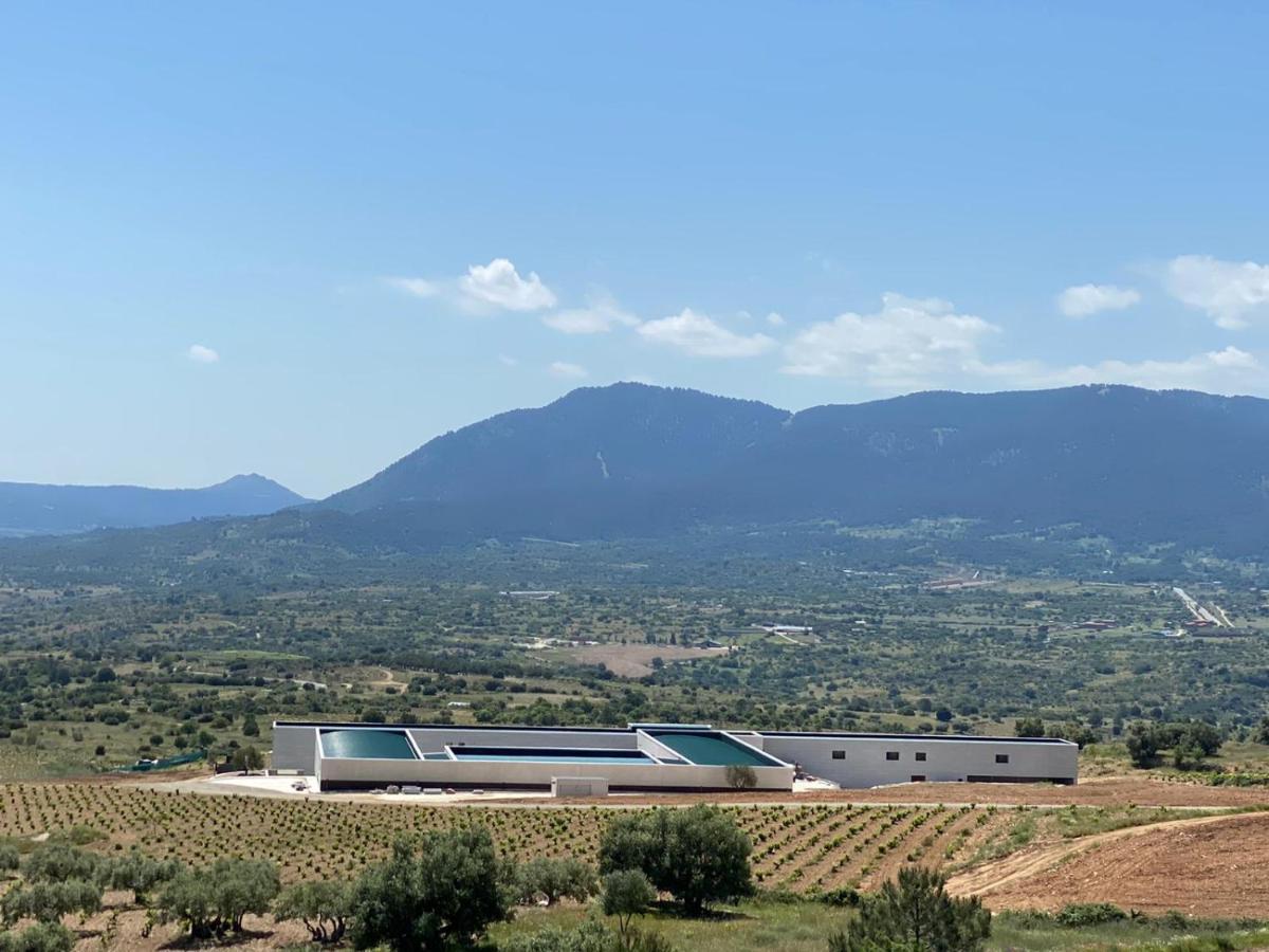 Hotel Tierras De Cebreros Kültér fotó